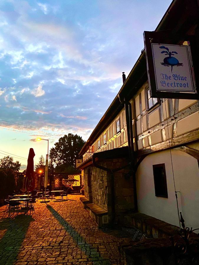 Aparthotel The Blue Beetroot Boleslawiec  Exterior foto