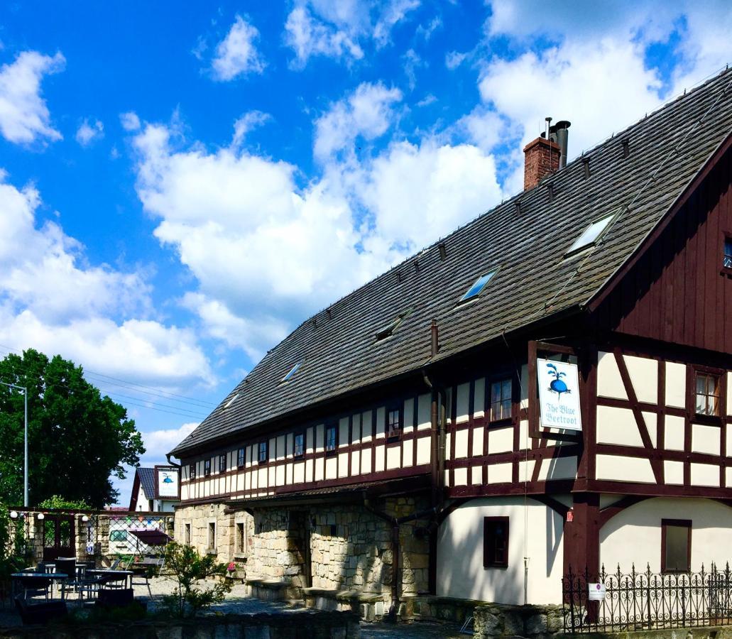 Aparthotel The Blue Beetroot Boleslawiec  Exterior foto